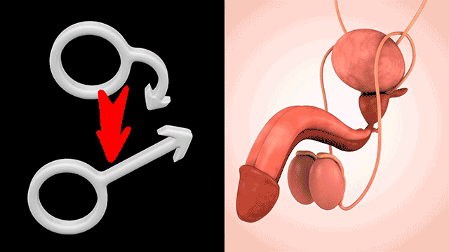 7-Second Natural Remedy for Rock-Hard Erections: Discover Nitric Boost Ultra